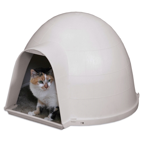 Igloo cat clearance carrier